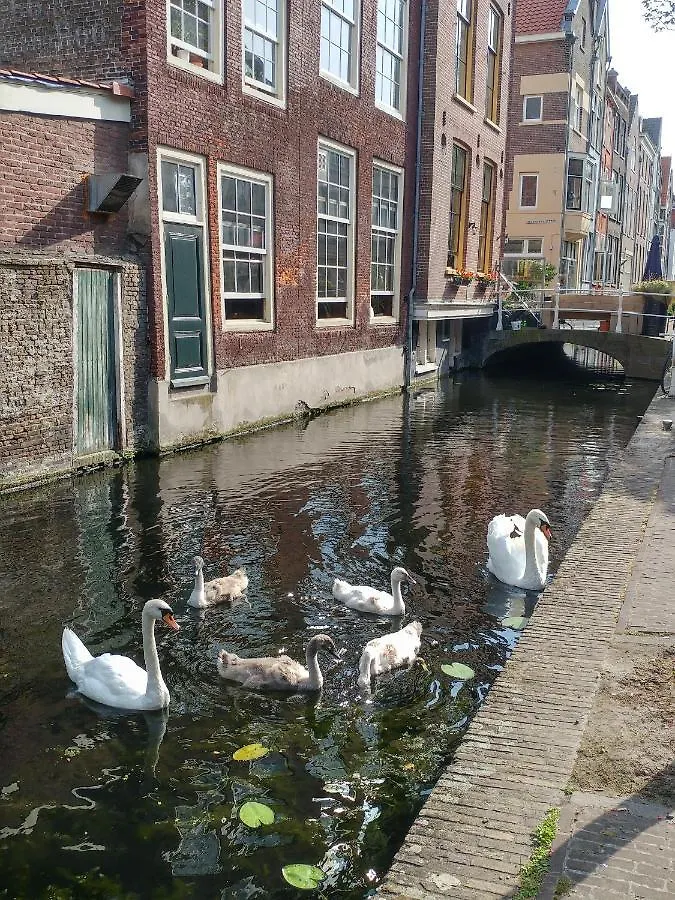 Inn De Vliegende Vos Het Geboortehuis Van Johannes Vermeer Delft Netherlands